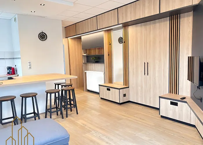 Appartement Le Dourdein - Chic & Confort Roanne